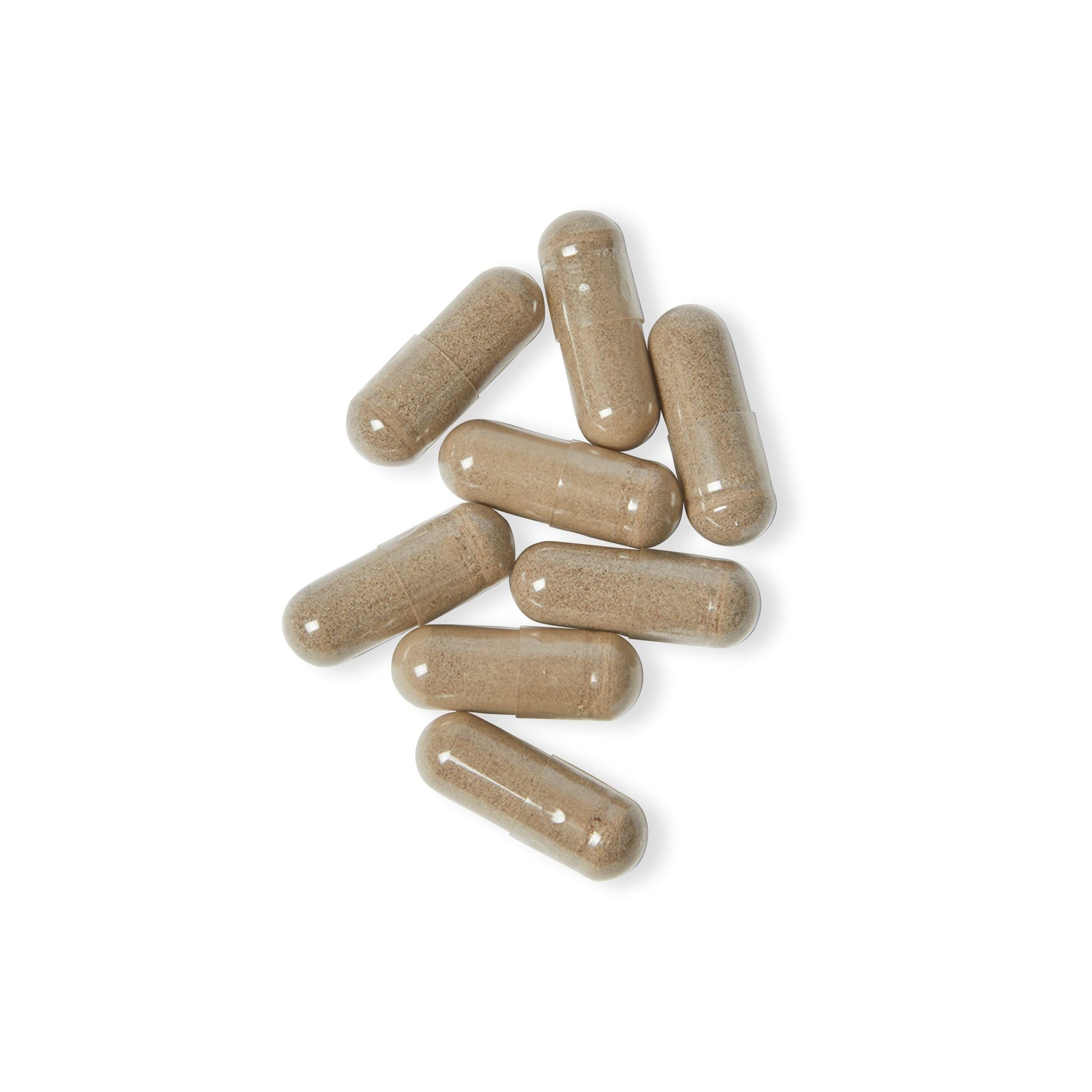 BotaniFlow™ Sea Moss Whole-Plant Vitality Supplement
